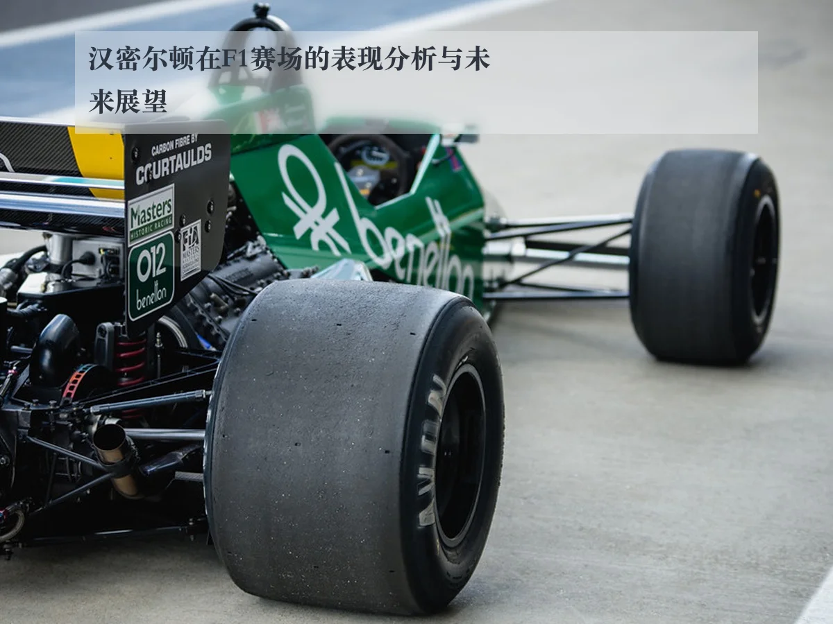 汉密尔顿在F1赛场的表现分析与未来展望